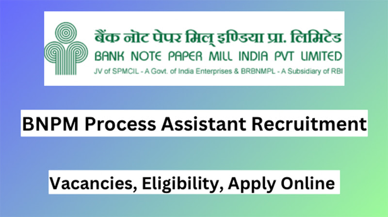 BNPM Process Assistant Recruitment