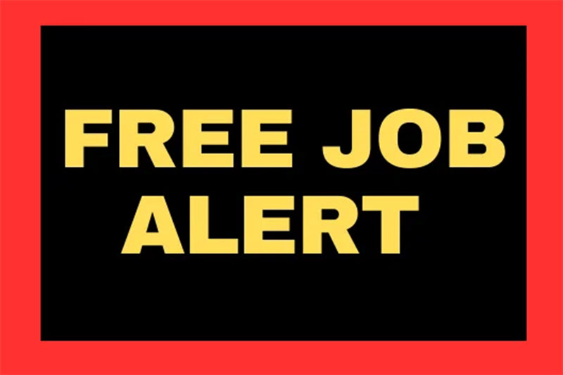 Free Job Alert 2024